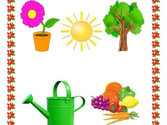 Year 1 Plant - 6 Lesson Plans