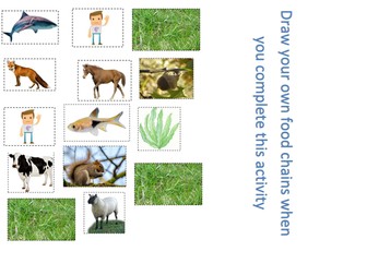 KS1 Food Chains - Differentiated 