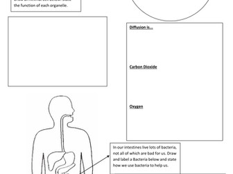 Diffusion/ Digestive system/ B2.1 Aqa/ Cells
