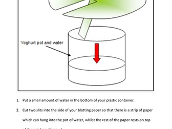 KS2 - Working Scientifically - instructions - Science - Colour Chaos