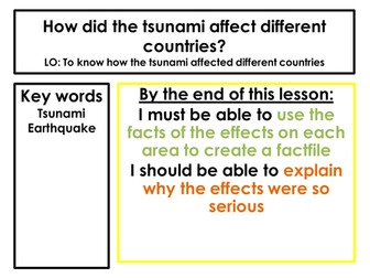 How did the Indian Ocean tsunami affect different countries