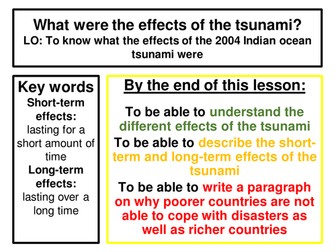 What were the effects of the Indian Ocean tsunami