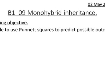 B1.09 Monohybrid inheritance