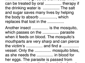 B1.30 Animal vectors