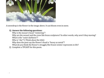 Snowdrop by Ted Hughes Poetry Analysis Worksheet