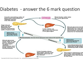 Edexcel B1 Biology Topic 2 and 3 revision circus