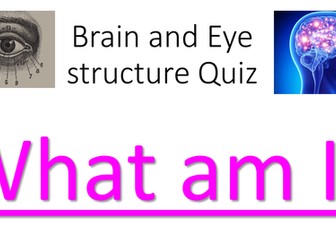 OCR Human Biology Structure of the Brain and Eye revision