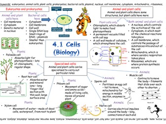 New AQA GCSE Cells Revision Poster 2018 exam