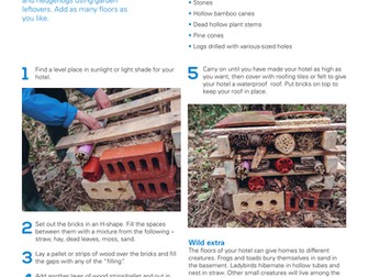 How to:  Make a Bug Hotel