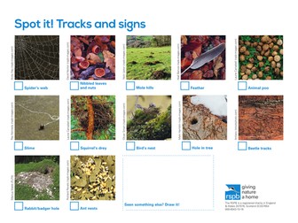 Spot It: Tracks and Signs