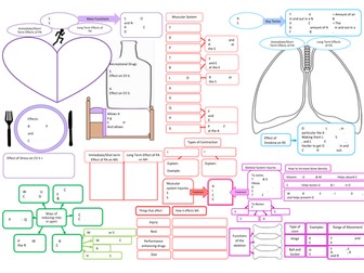 GCSE PE Full Course Edexcel Revision - Whole Specification covered. 