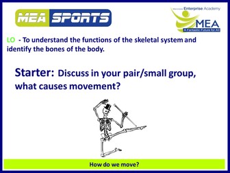 AQA GCSE PE Muscular and skeletal system resources