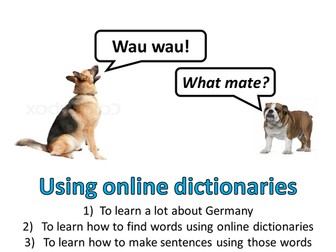 German IT research/translation project