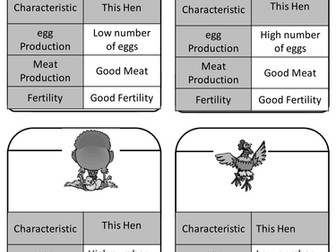 New GCSE 2018 AQA   selective breeding