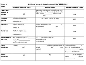 Enzymes in the Digestive System Comparison Table