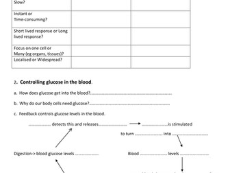 Blood Sugar feedback loops and Endocrine vs Nervous System comparison table