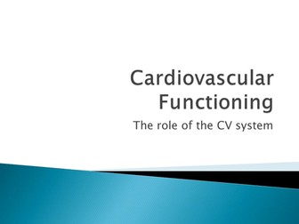 The Cardiovascular System