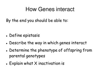 KS5 Biology Topic Epistasis
