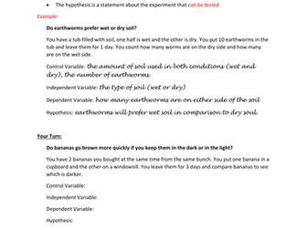 Identifying Variables and Writing Hypothesises