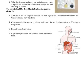 AQA Biology New Specification Required Practical Enzymes