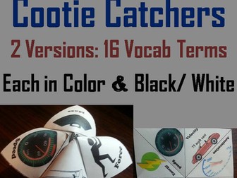 Force and Motion Cootie Catchers