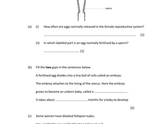 Year 7 KS3 Menstrual Cycle
