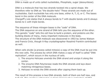 DNA replication, transcription, and translation 