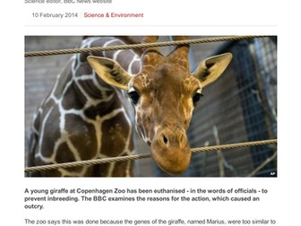 Zoos - ethics of breeding programmes