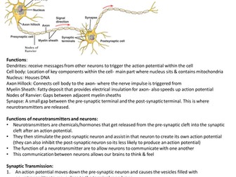 Edexcel Biological Psychology and Learning Theories revision- A & AS level