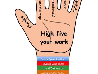 5 Point Simple Literacy Check for Pupils