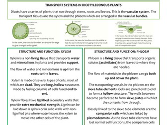 Biology AS Level OCR Revision Notes - Transport in Plants