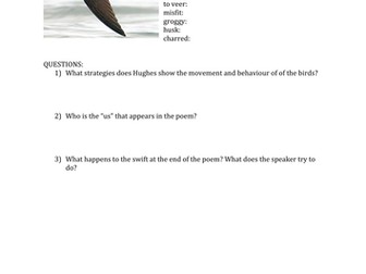 Swifts and A March Calf by Ted Hughes Analysis Worksheet