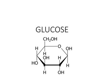 Respiration - glycolysis card sort