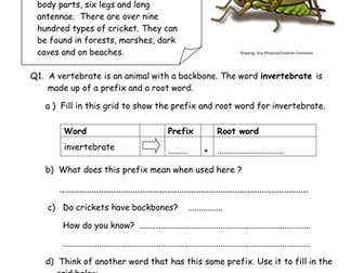 SPAG Science Key Stage 2 Activity Pack - Sound