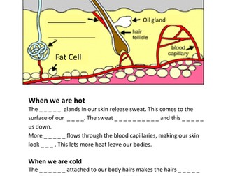 Skin and temperature homeostasis, sweating, body hair and blood flow(SEN)