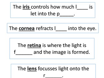 Parts of the Eye Worksheet