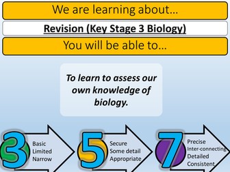 Year 8 Biology - Revision Lesson