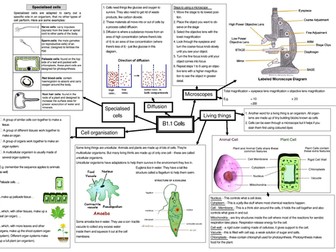 Year 7 one topic a page revision