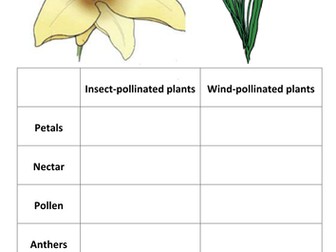 Plant Reproduction and Seed Dispersal