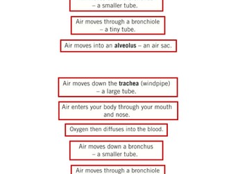 Breathing steps - card sort