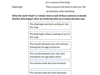 Breathing - Inhaling and Exhaling worksheet