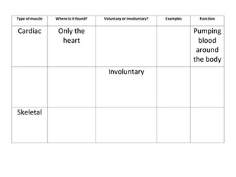 Types of muscles - information hunt