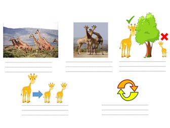 Natural Selection - cartoon strip