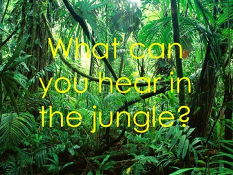 Jungle animal sounds guessing 