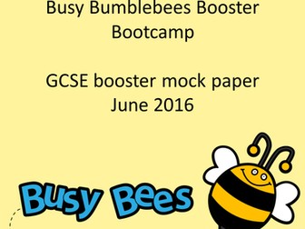 Busy Bumblebee's Booster Bootcamp - self-made GCSE English Language Foundation mock paper