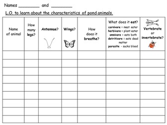 Characteristics of pond creatures