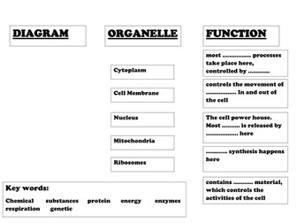 NEW GCSE BIOLOGY AQA- CELLS- EUKARYOTES AND PROKARYOTES