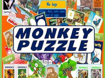 MONKEY PUZZLE STORY TEACHING RESOURCES LITERACY READING EYFS KS 1-2 ANIMALS FAMILY