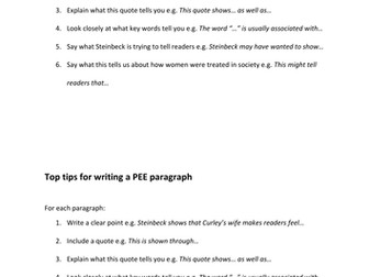 (New GCSE) Top Tips! A*/level 9 'how to' succeed guides: lower ability PEE paragraph guidance
