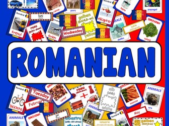 ROMANIAN TEACHING RESOURCES display posters flashcards colours food LANGUAGE